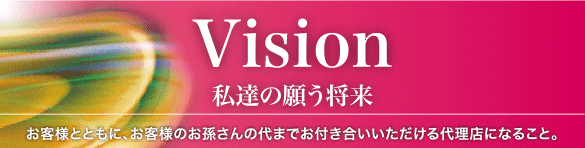 Vision